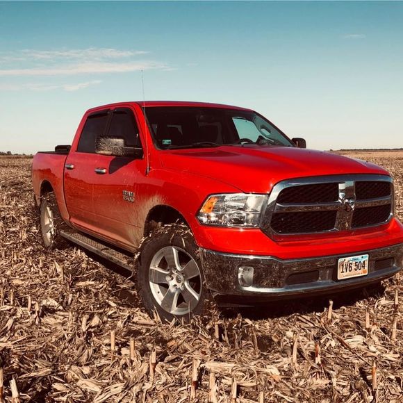 Meet your Posher, Cody - Picture 1 of 1